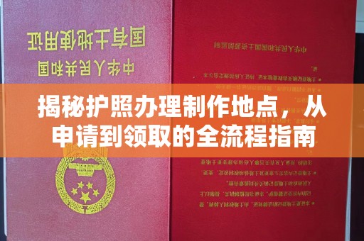 仁化揭秘护照办理制作地点，从申请到领取的全流程指南